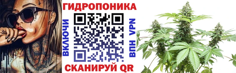 Шишки марихуана ГИДРОПОН  маркетплейс формула  Берёзовский 